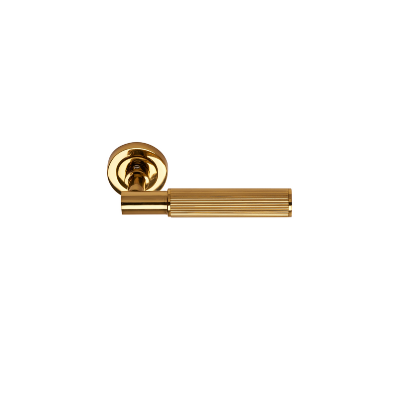 Modern Antik  Rosette Door Handle